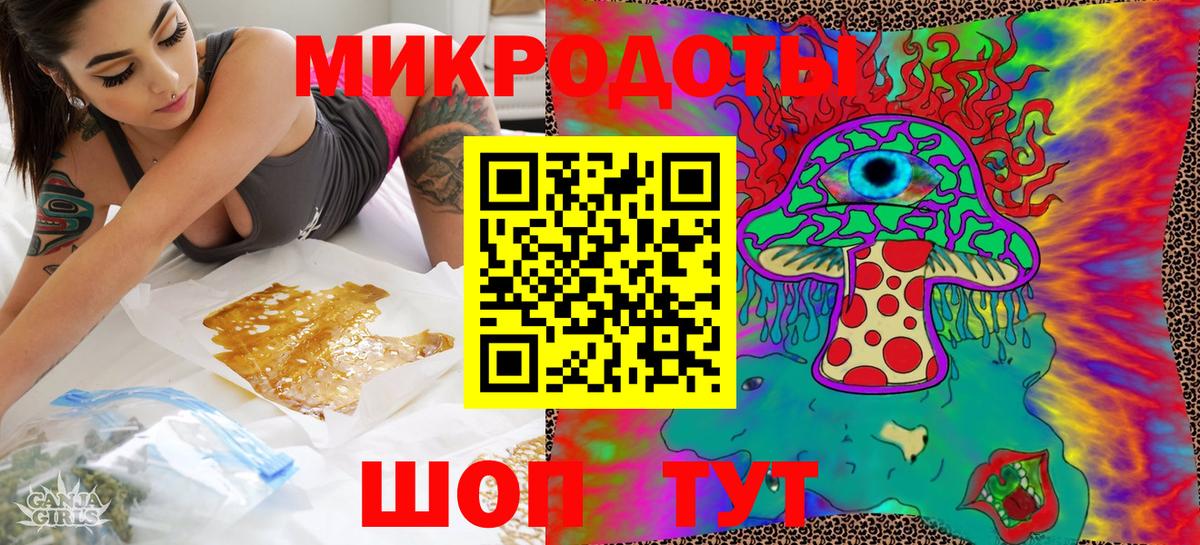 Галлюциногенные грибы Psilocybe Миасс