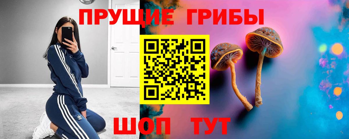 Галлюциногенные грибы мухоморы  Галлюциногенные грибы мухоморы  Миасс  что такое наркотик  Вход с VPN 