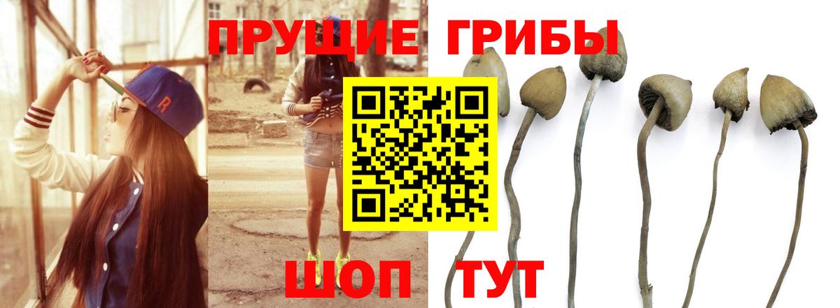 Галлюциногенные грибы прущие грибы  Миасс  Галлюциногенные грибы прущие грибы 